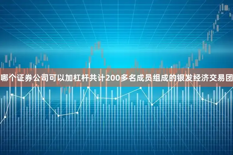 哪个证券公司可以加杠杆共计200多名成员组成的银发经济交易团
