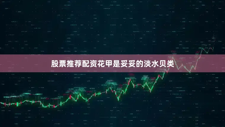 股票推荐配资花甲是妥妥的淡水贝类