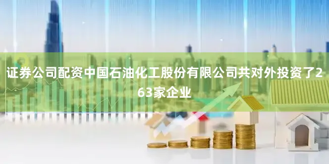 证券公司配资中国石油化工股份有限公司共对外投资了263家企业